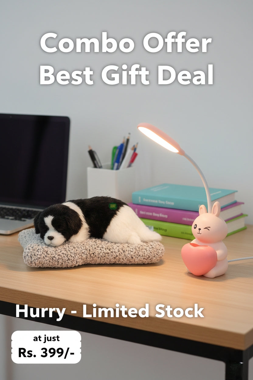 ✨ Nakshveda Cozy Desk Comfort Combo ✨