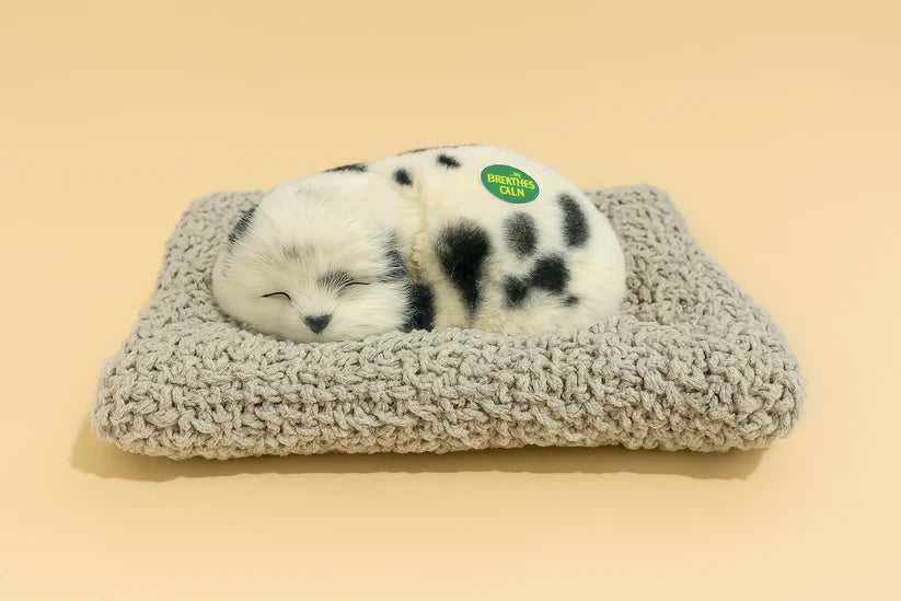 Realistic Sleeping Pet Plush Toy – Lifelike & Adorable 🐾💤